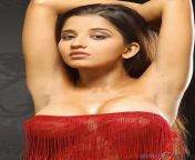 bollywood actresses photos south indian hot monalisa 3.jpg from monalìsa xxxiina kapur sexy 2015 xxxan sex long hair video