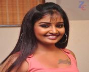 suguna tamil tv anchor hot photo stills 28129.jpg from sun tv seriel actress suguna nude leone sex video on yutube
