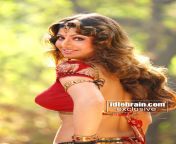 ramba6.jpg from sex bollywood rambha bollywood actress sonakshi sinha salman khan pornoy big land xxx photo