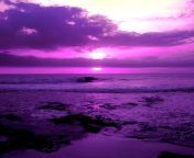 in purple by andry122.jpg from ur lila