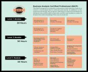 business analysis certification bacp 1000x1000.png from bachp