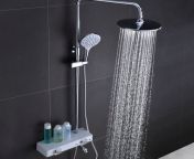 bathroom shower set.jpg from indian shower sec