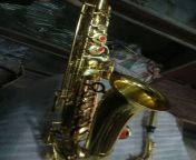 saxophone 1000x1000.jpg from meerut sax