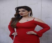 actress raveena tandon hot in red dress photos.jpg from hindi acters ravina