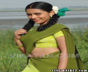 dhanya mary varghese hot navel show in half saree.jpg from dhanya varghese nud