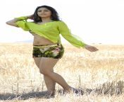 tanisha mukherjee hot in pokkiri paiya tamil movie stills 1.jpg from tanisha mukherjee bikini