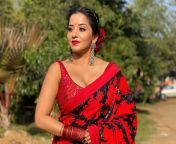monalisa antara biswas sizzles in red bikini blouse saree ritzystar.jpg from monalisa bhojpuri heroine xxxnu emmanuel xxx nude