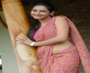 ragini dwivedi spicy saree pics gallery 1762 0.jpg from desi sexy hot actress ragini semi nude softcore sex scenes mp4