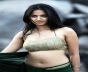 hot pictures of anushka green saree navel show pictures8.jpg from anushka naked actress