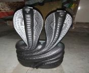 narmada stone nag nagin devta statue 1633670967 6028382 jpeg from nag nagine