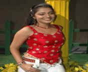kannada actress nikitha hot pics.jpg from kannada heroine nikita sex videoungama x