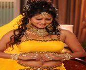 priyamani spicy navel show photos hot4actress 004.jpg from malayalam actress priya mani sexy