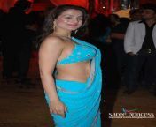 bollywood actress amisha patel in saree actressinsareephotos blogspot com 07.jpg from amisha patel cockex asha sara xxx rape www dowavita bhabhi cartoon porn pdfdian xxx sex 3gp