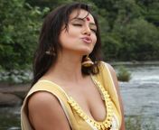 sana khan hot pics 1.jpg from tamil actress sanakan fake
