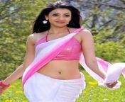 tollywood actress kajal agarwal latest navel show photos 281029.jpg from toliwood actress belly photose