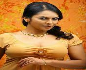 jyothirmayi hot cleavage photos 4.jpg from malayalam actress jyothirmayi sexyww xxx krris