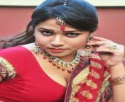 telugu actress jyothi hot photo in saree 3.jpg from jothi telugu si
