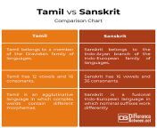 tamil vs sanskrit.jpg from tamil and