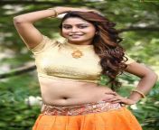 kannada actress shweta kumari68.jpg from kannada language sexy videoswnloads telugu actress boobs navel