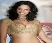 mallika sherawat hotspicy new bikini collections 5.jpg from indian pix pux