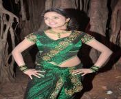 tamil actress abhinayashree hot navel show in saree pics 6.jpg from telugu actress abhinayashree hot