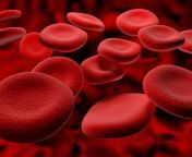 red blood cells.jpg from blood srx