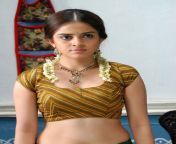 tamil actress in saree hot photos and clevage 16.jpg from tamil actress down