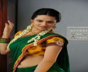 actress isha chawla hot navel show stills in half saree 9.jpg from isha xx wap andan acterss