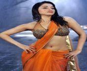 tamanna bhatia hot saree photo gallery 564.jpg from 49 hot pictures of tamannaah bhatia which are really sexy slice from heaven