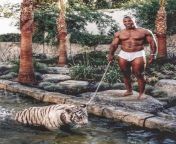 tyson tiger 827x1024.jpg from mike tyson nude