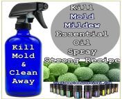 kill mold mildew essential oil spray strong recipe cleaning 800x800.jpg from kall mol