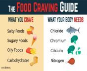 the food craving guide jpg webp from cravings inssia desifakes