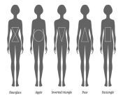 body shape.png from 36 28 36 body shapes hot sex