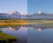photo comparison film vs digital.jpg from film vzmb