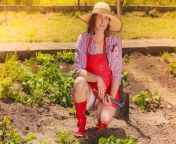 woman gardening tool working garden mature wearing hat red rubber boots her backyard outdoor 58538840.jpg from gardener housewife