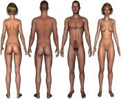 man woman nude body isolated illustration showing front back human 47838082.jpg from real naket human body back sids parts name