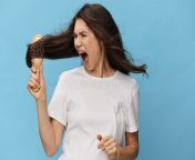 middle aged brunette woman combing her long beautiful hair wooden comb screaming loudly pain standing 251493687.jpg from beautiful loudly pai