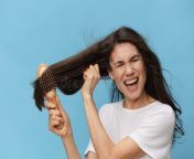 middle aged brunette woman combing her long beautiful hair wooden comb screaming loudly pain standing 251420491.jpg from beautiful loudly pai