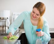 smiling housewife cleaning up domestic kitchen adult female gloves rag cleanser 68347099.jpg from house wife cleaning