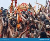 gathering naga sadhus celebrates bathing ganges kumbh mela allahabad india congregation celebrating hindu 139655674.jpg from kalkata am sadhu cherish tommy move s