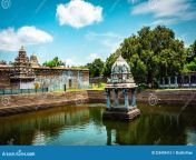 great pond ekambareswarar temple earth linga kanchipuram tamil nadu south india great pond ekambareswarar temple 226494415.jpg from tamil pond