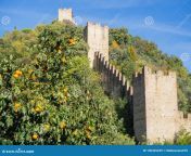 marostica vicenza italia el castillo en top de la colina 130435239.jpg from 130435239 jpg