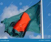 national flag bangladesh blowing wind blue sky background bangladeshi cultural symbol pole 115338974.jpg from bangladeshi pole