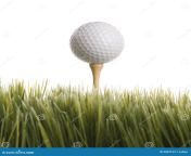 pelota de golf en te en hierba 2052153.jpg from 2052153 jpg