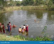 rural indian village landscape jangipur murshidabad women swimming taking bath pond rural indian village 269765392.jpg from kannada village bath sec