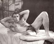 297 450.jpg from vintage gay nude