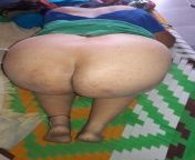 649 450.jpg from indian bbw fat big ass punjabi bhabhi rajasthani sex