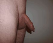 061 1000.gif from nude penis erection on