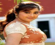 thqmeena sex videos from tamil actress meena ray hairy pussy photos xxx