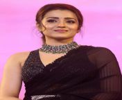 trisha krishnan at ps1 pre release event 3 cropped.jpg from indian tamil actors videos com